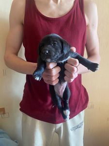 Буча. Дівчинка 1 місяць