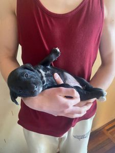 Буча. Дівчинка 1 місяць