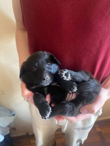 Буча. Дівчинка 1 місяць