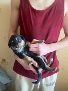 Буча. Дівчинка 1 місяця