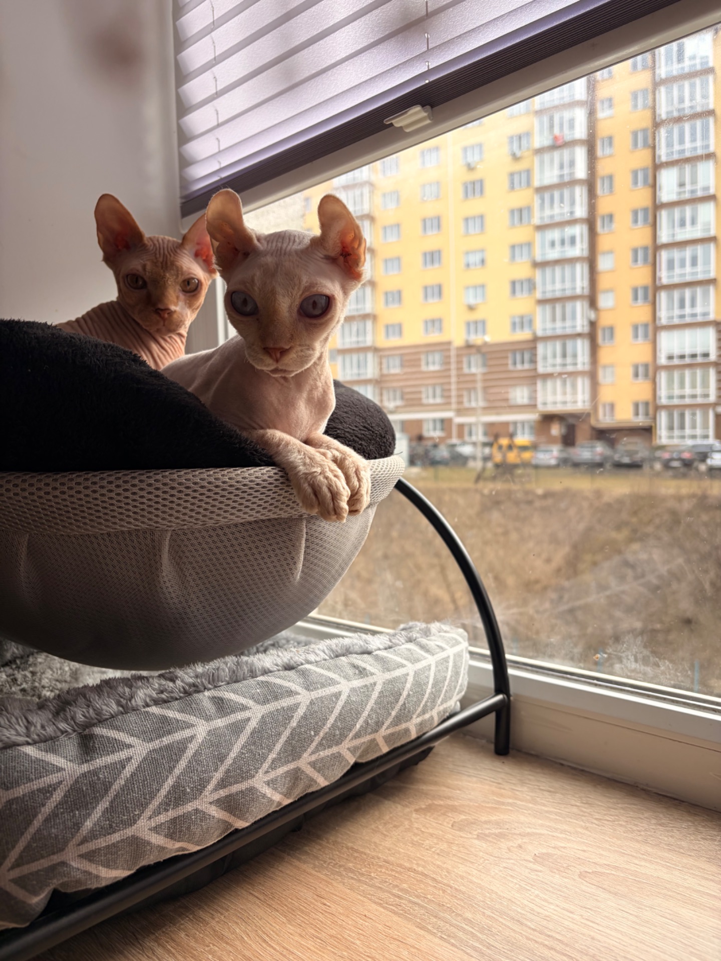 Блондинка Фрея