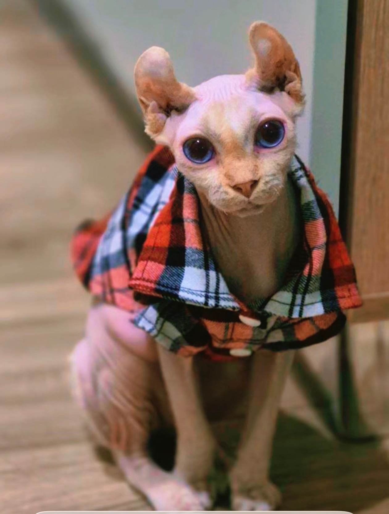 Блондинка Фрея