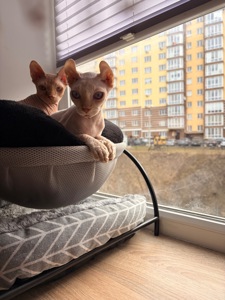 Блондинка Фрея