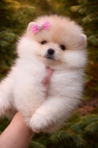 VIP красунчики! Хлопцi та дiвчата!