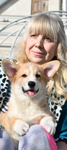 Цуценя вельш коргі пемброк 3 місяці