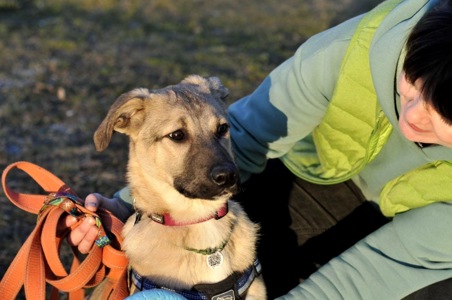 Цуценя Ларго