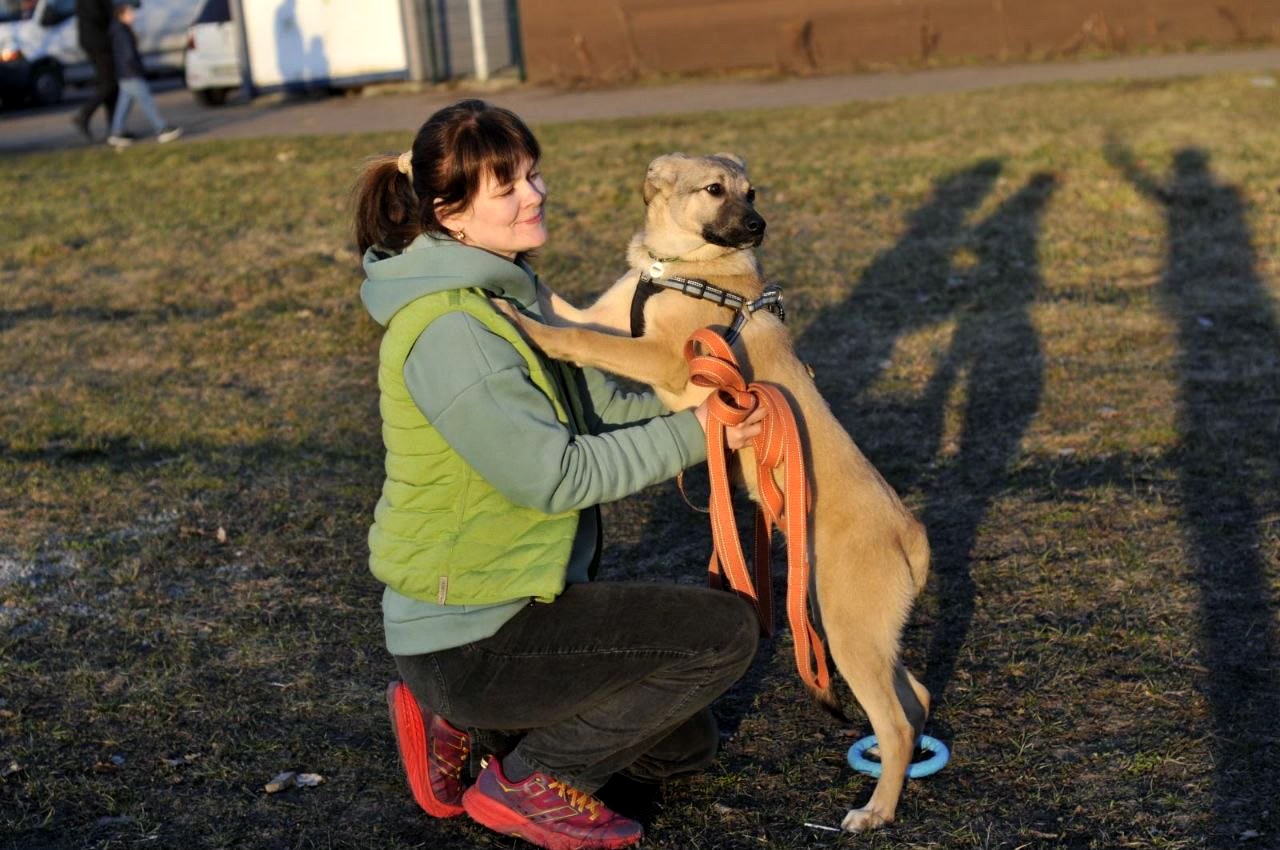 Цуценя Ларго