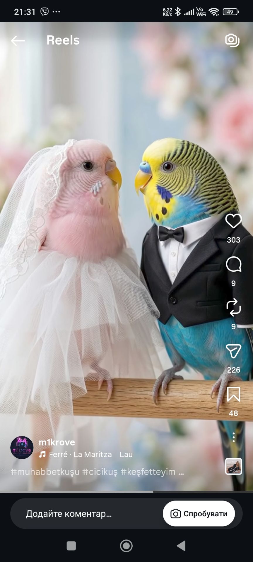 Хвилясті папуги, райдужні