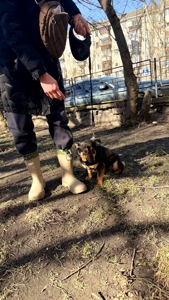 Малютка Діна