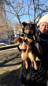 Малютка Діна