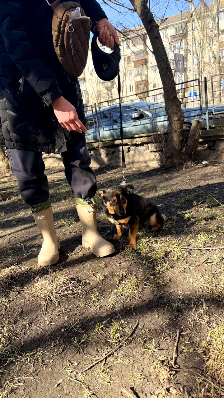 Малютка Діна