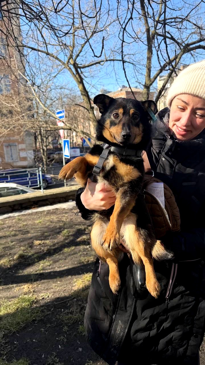 Малютка Діна