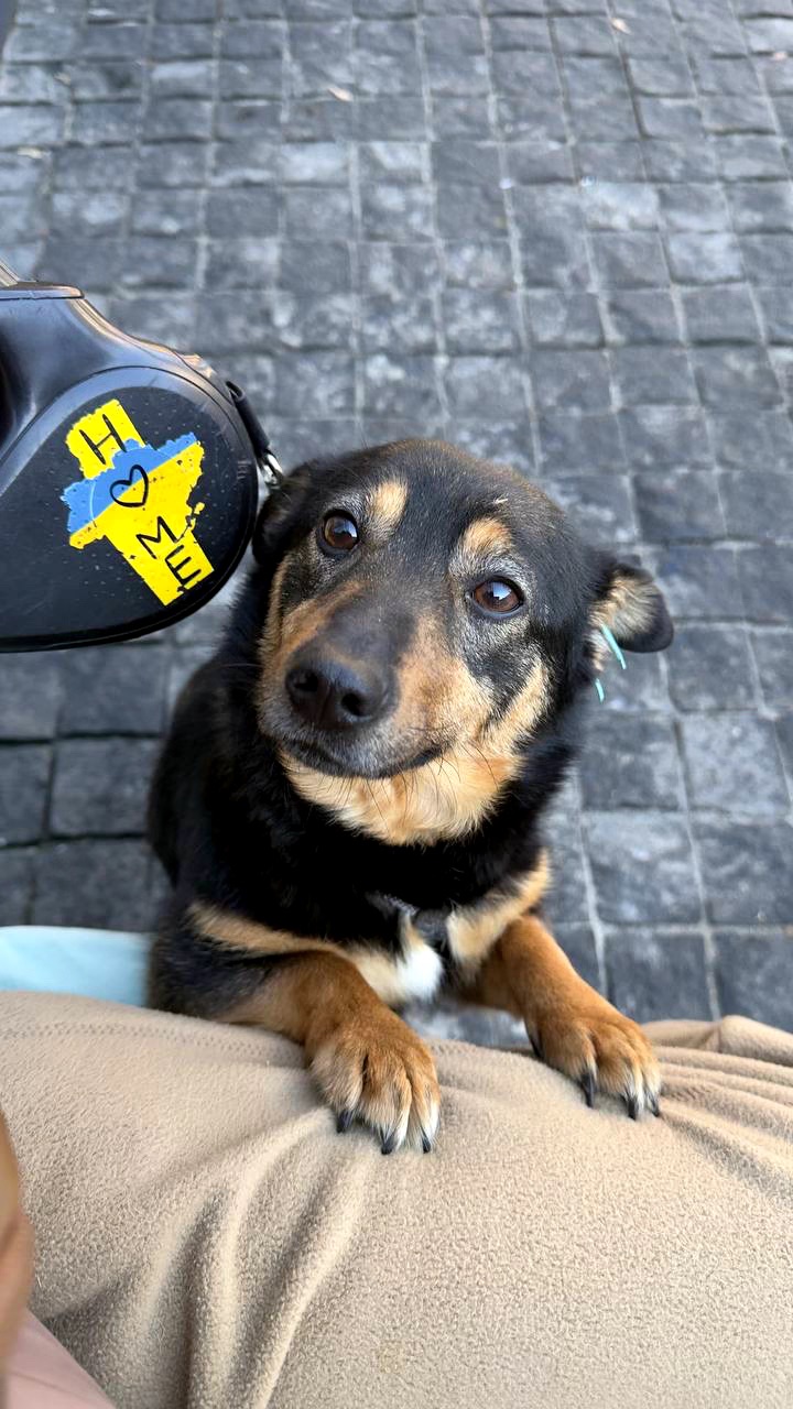 Малютка Діна