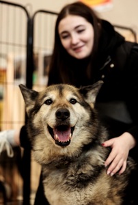 Ладуся шукає родину