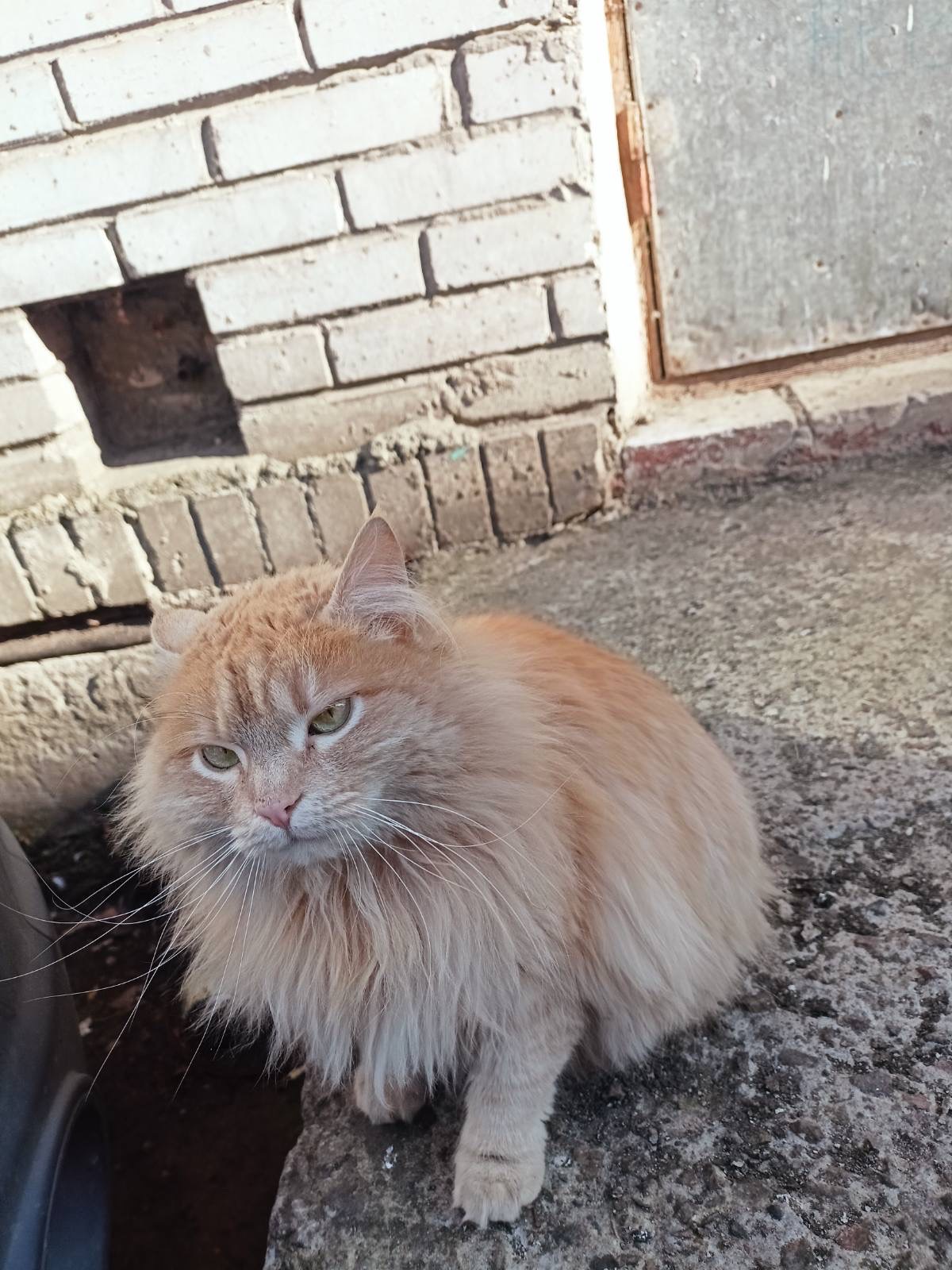 Дім бувшедомашній