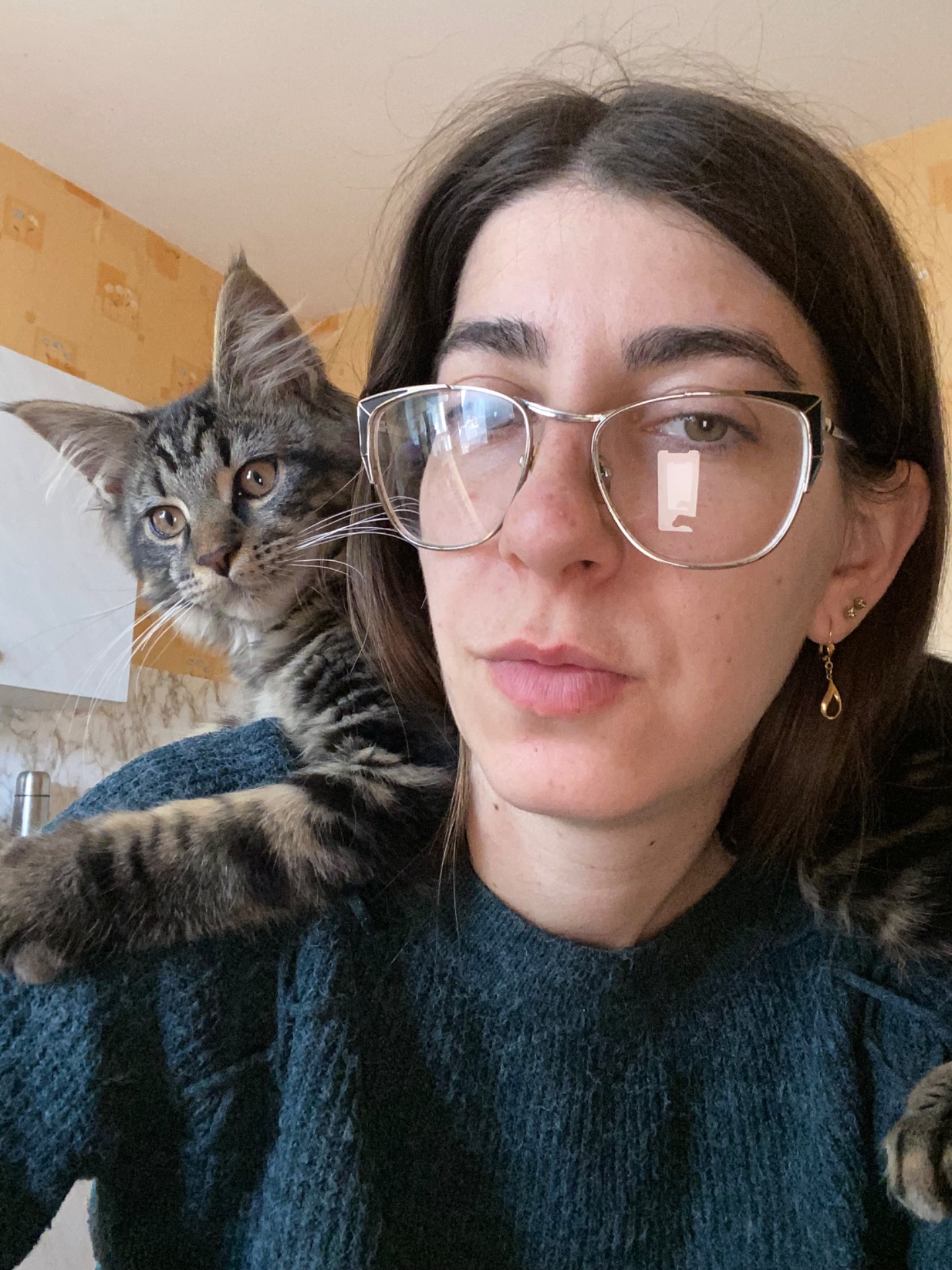 Мейн-кун сыночка-корзиночка