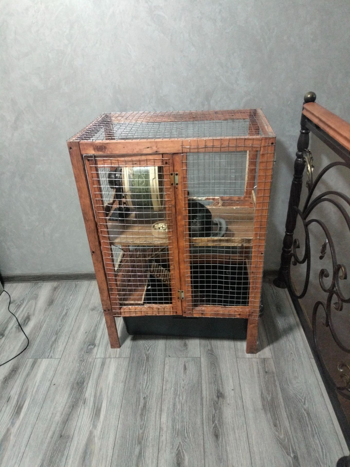 Продається шиншила