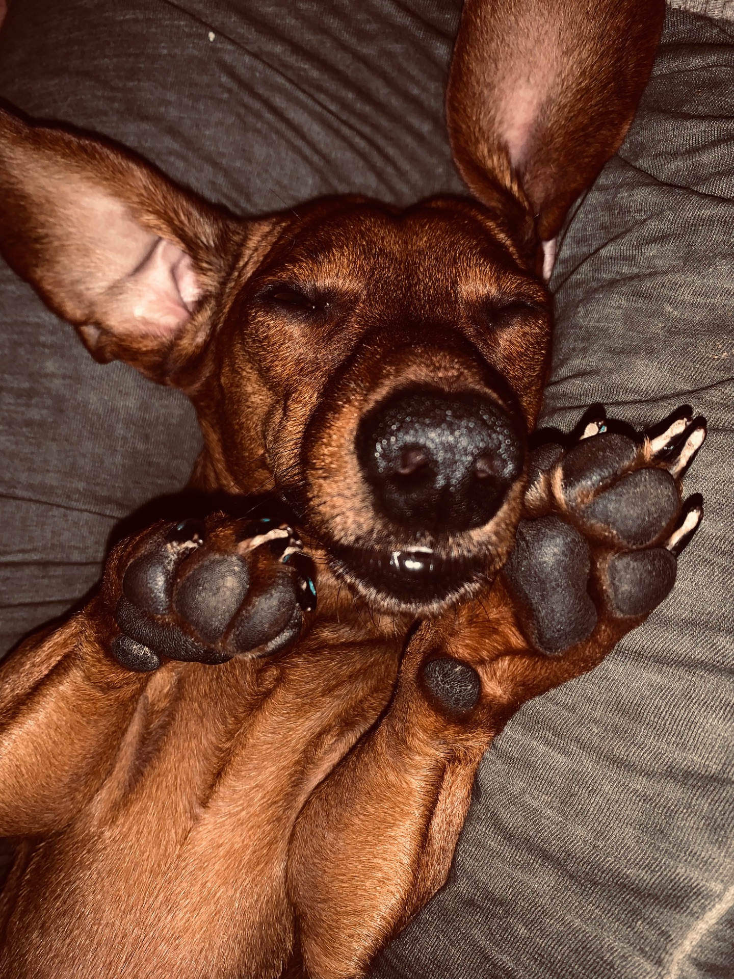 Такса вʼязка