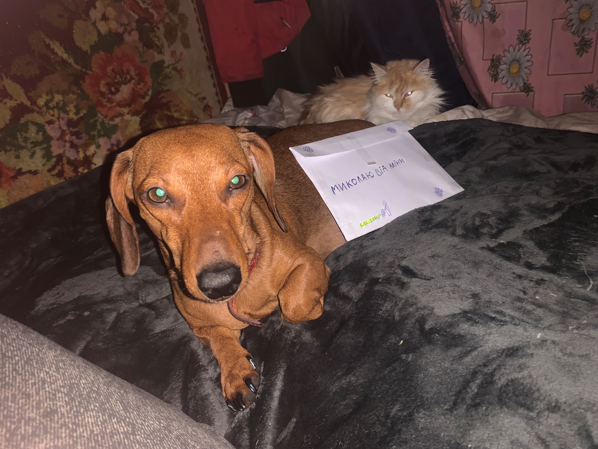 Такса вʼязка