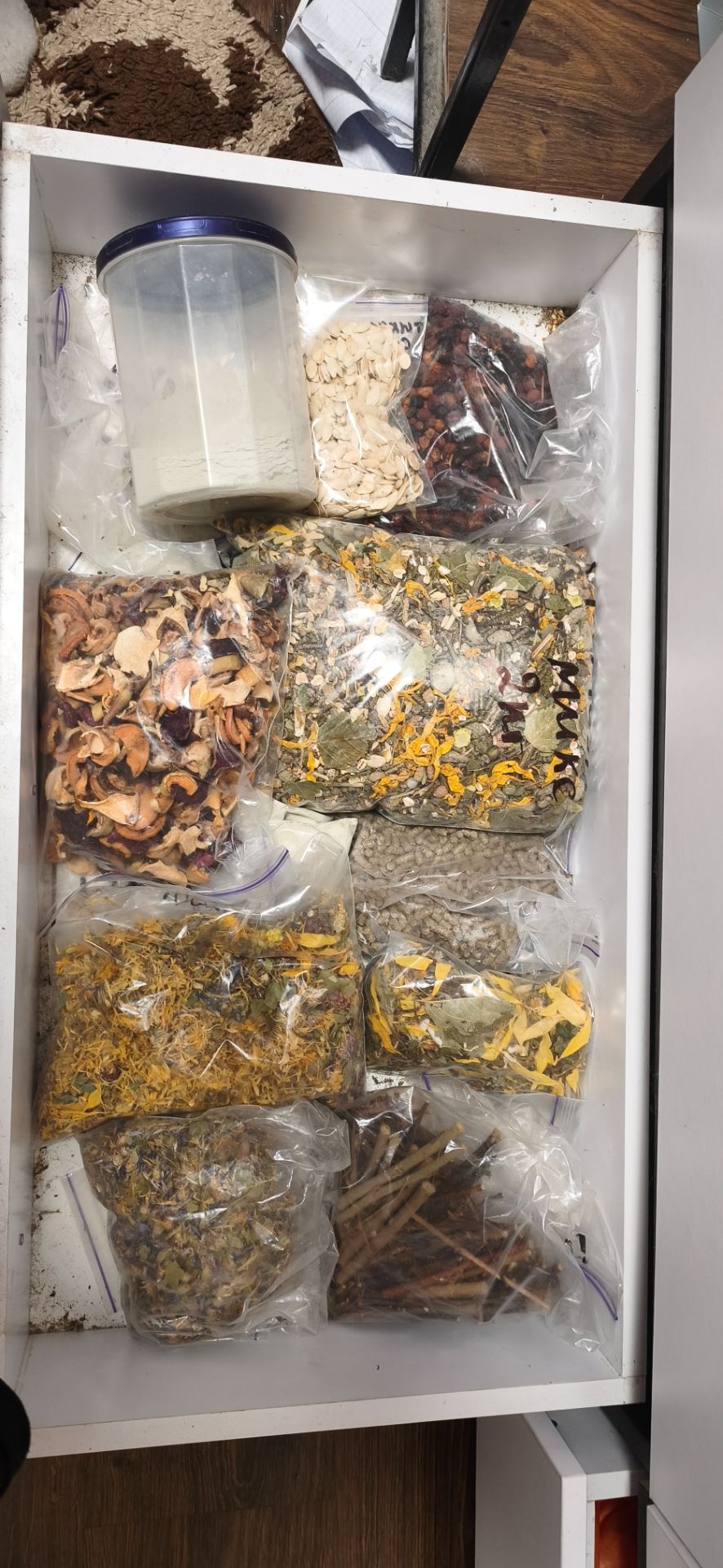 Продам пару шиншилл