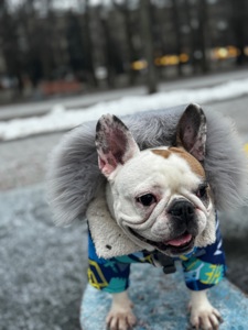 Отдам в очень хорошие и заботливые руки