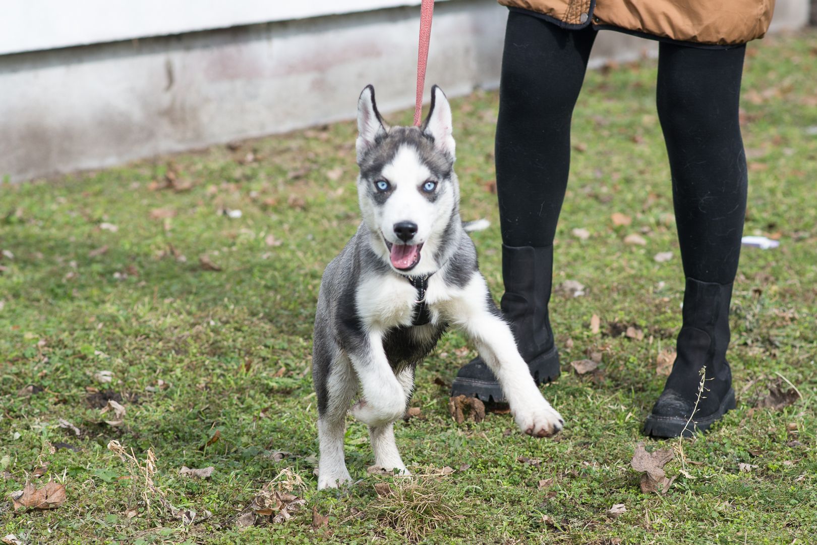 Шторм шукає родину