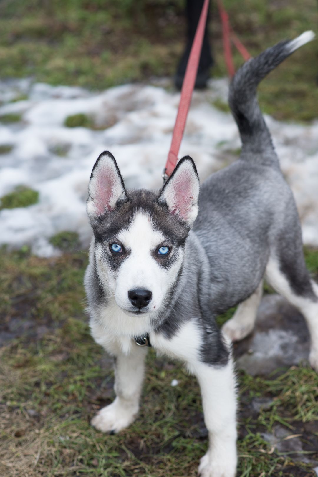 Шторм шукає родину