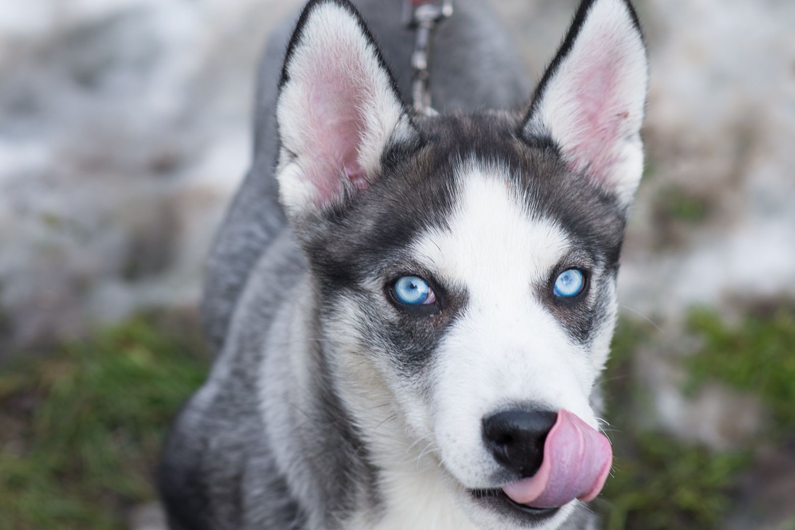 Шторм шукає родину