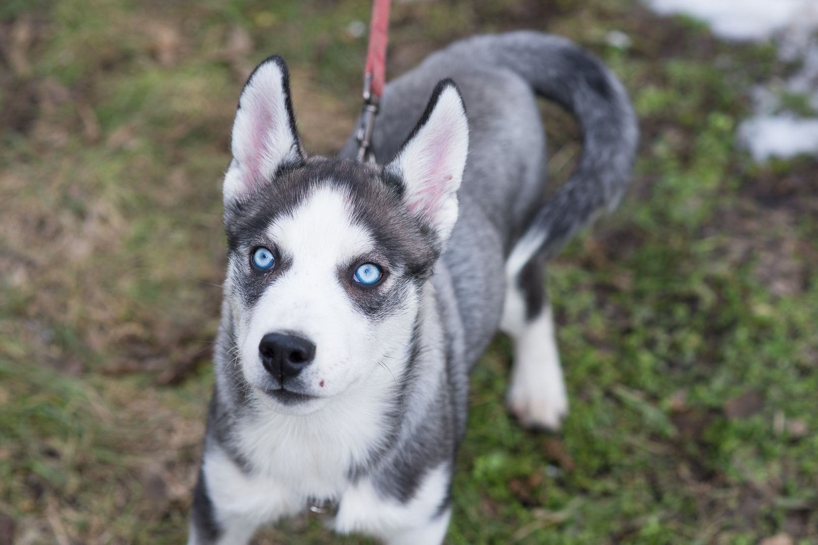 Шторм шукає родину