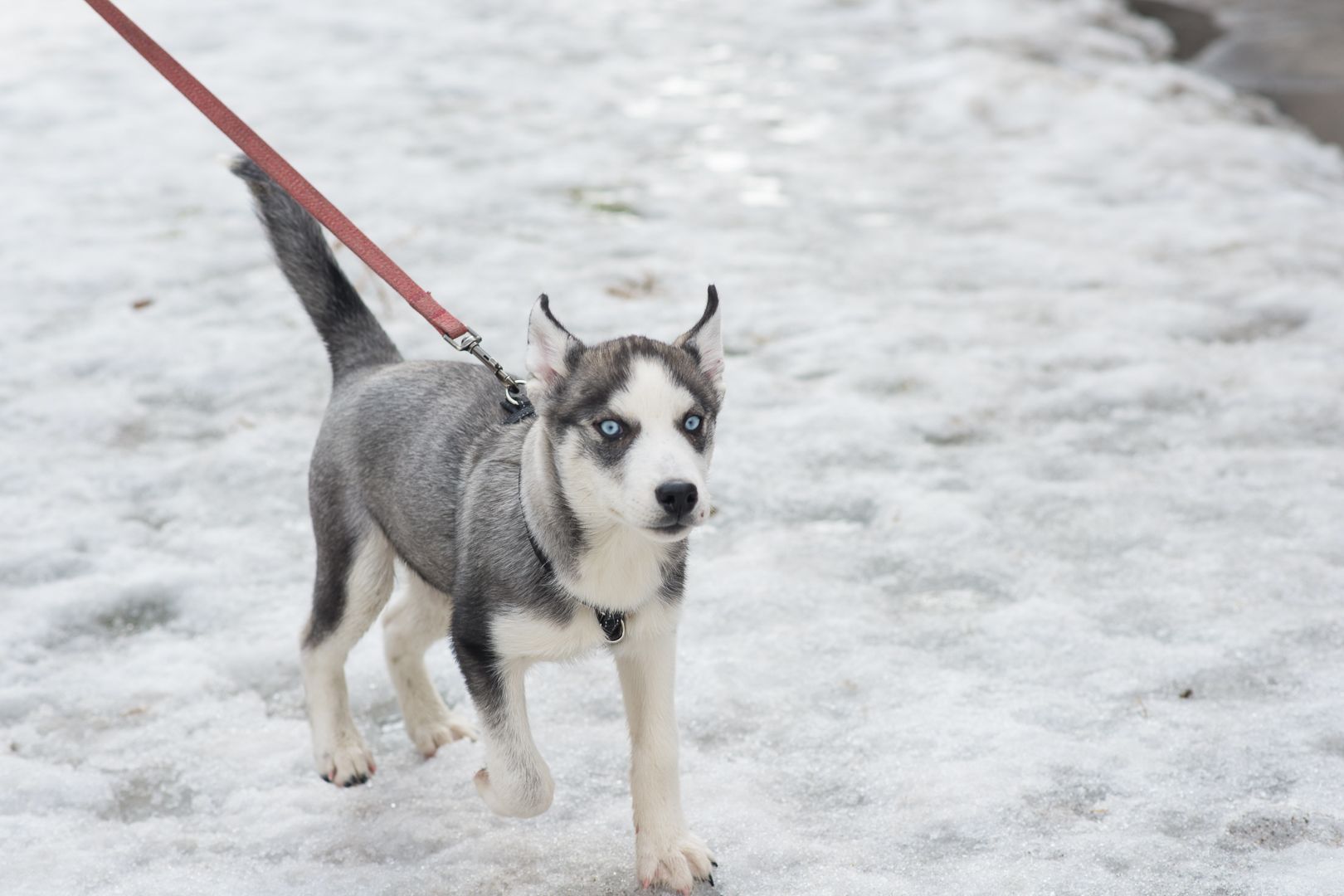 Шторм шукає родину