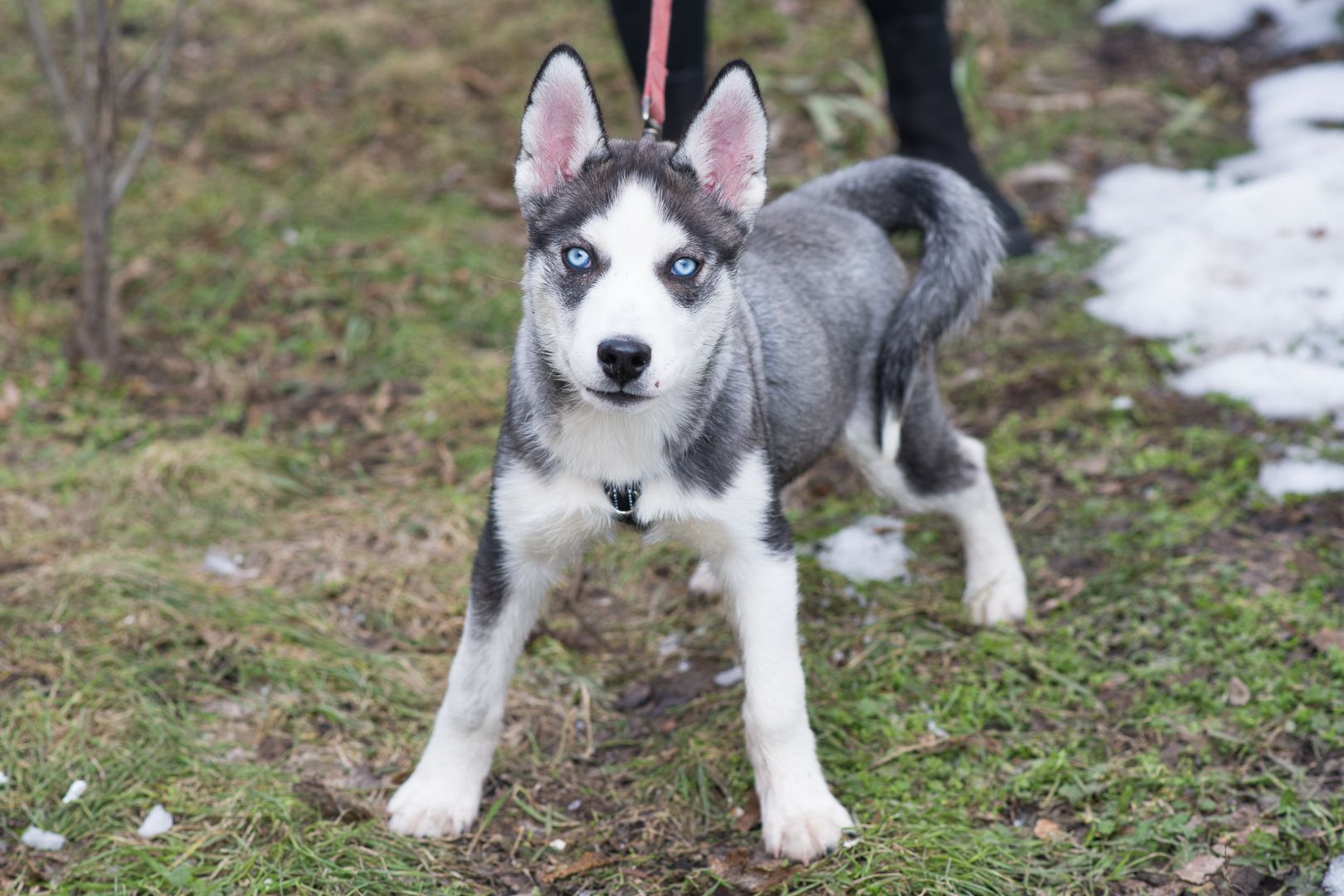 Шторм шукає родину