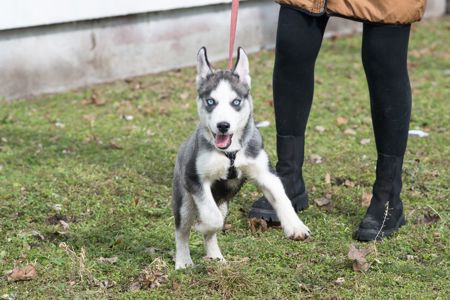 Шторм шукає родину
