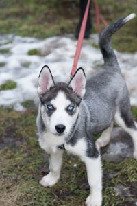 Шторм шукає родину