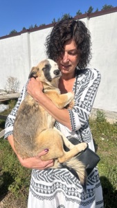 ТЕРМІНОВО Дівчинка метис Вінга шукає дім