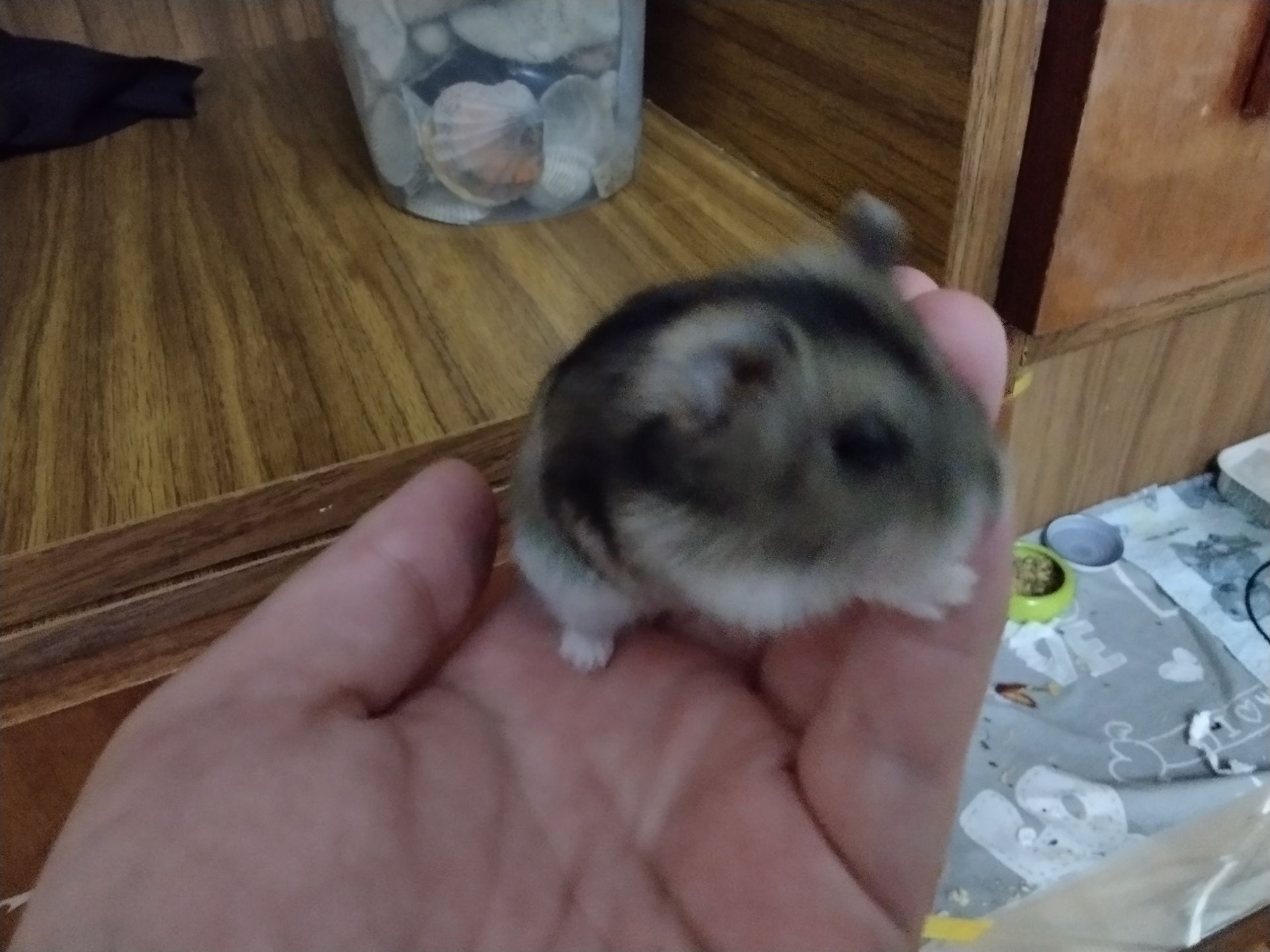 Надія Карпюк