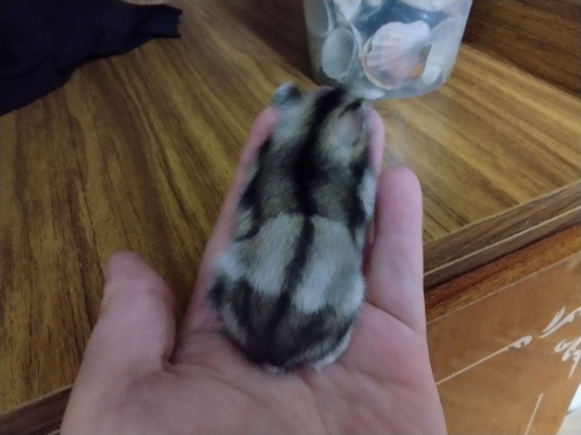 Надія Карпюк