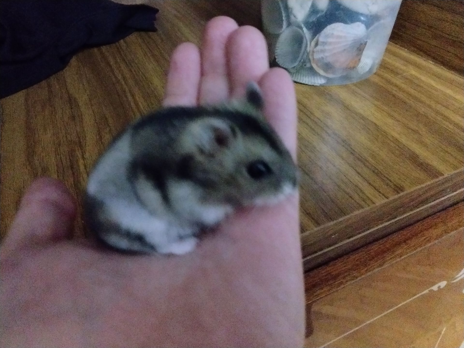 Надія Карпюк