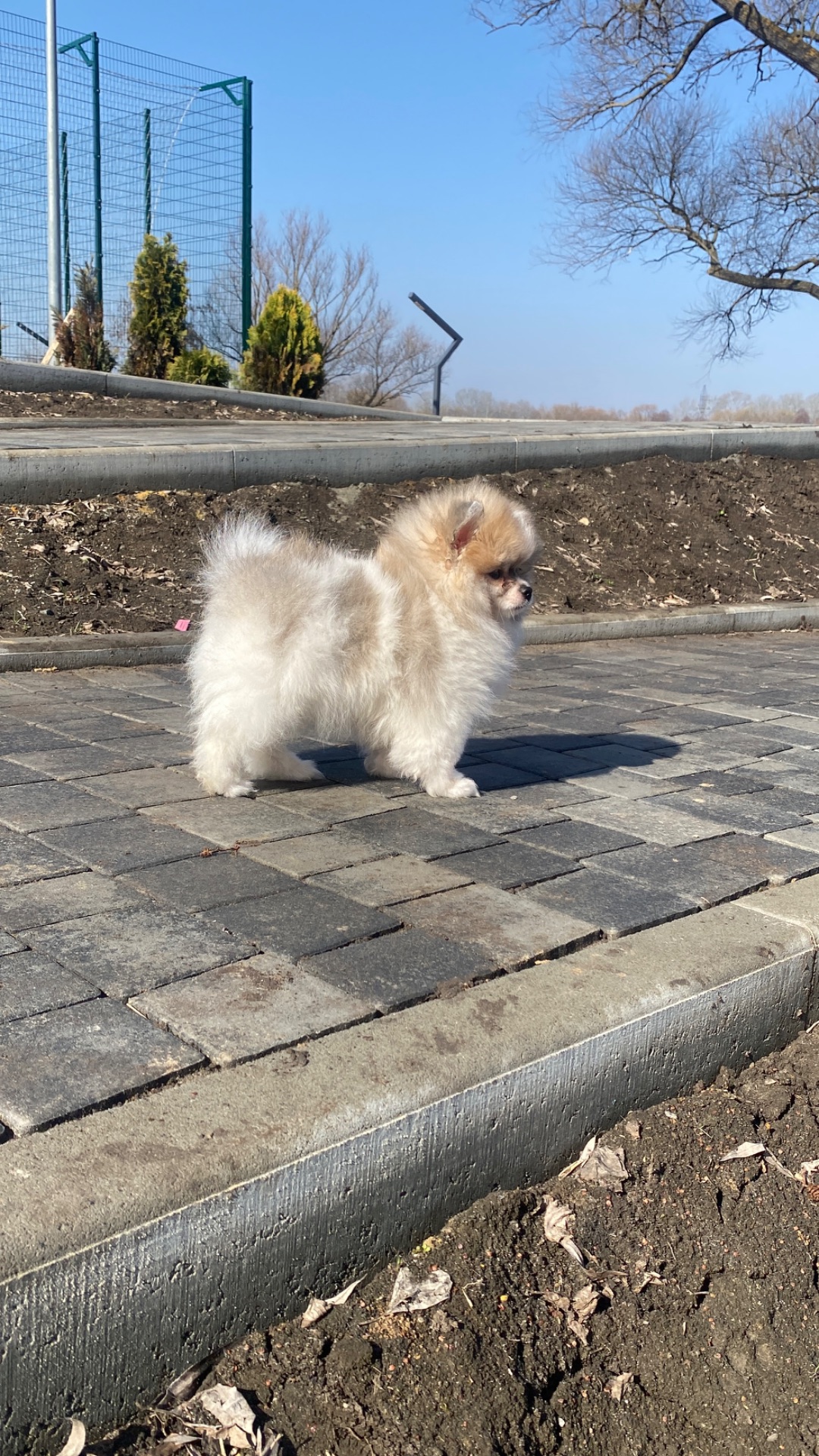 Хлопчик у ведмежому типу