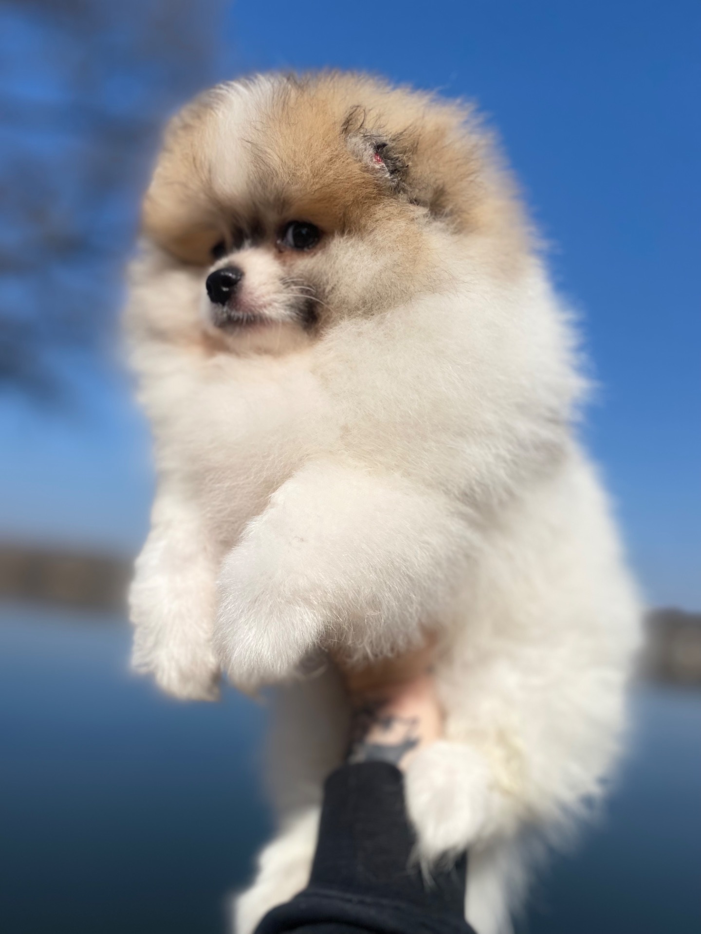 Хлопчик у ведмежому типу