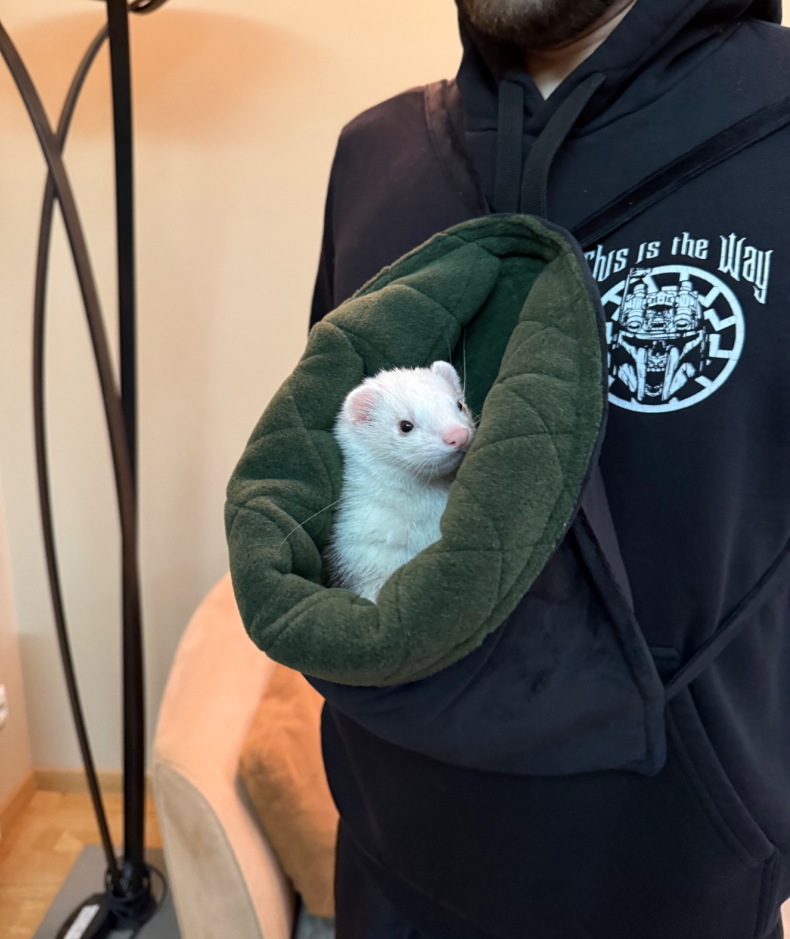 Фретка/тхір/харьок разом з кліткою