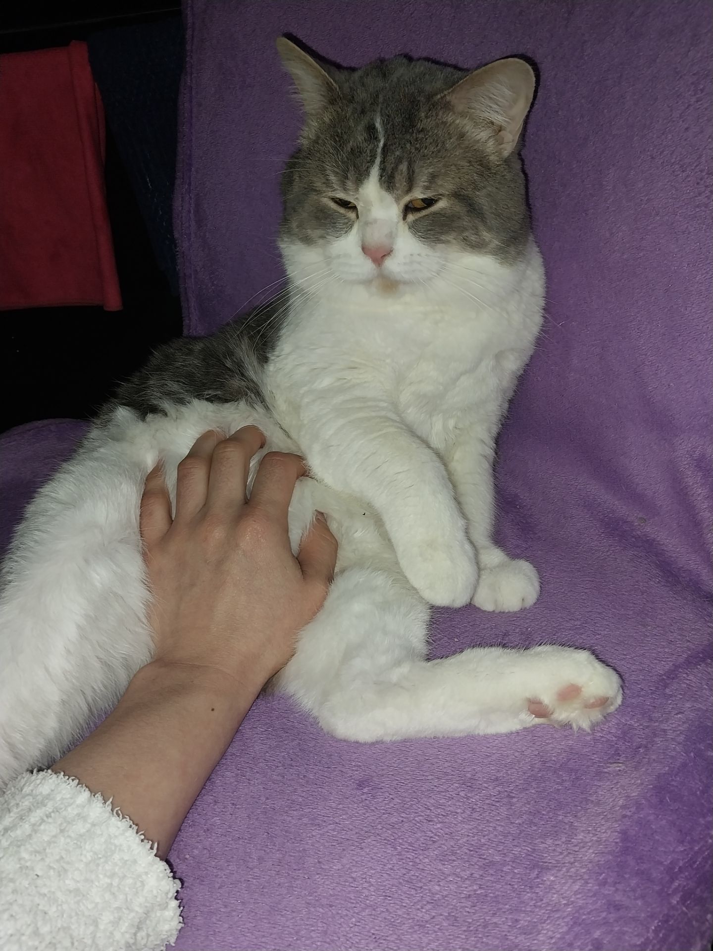 Віддам в хороші та добрі руки)