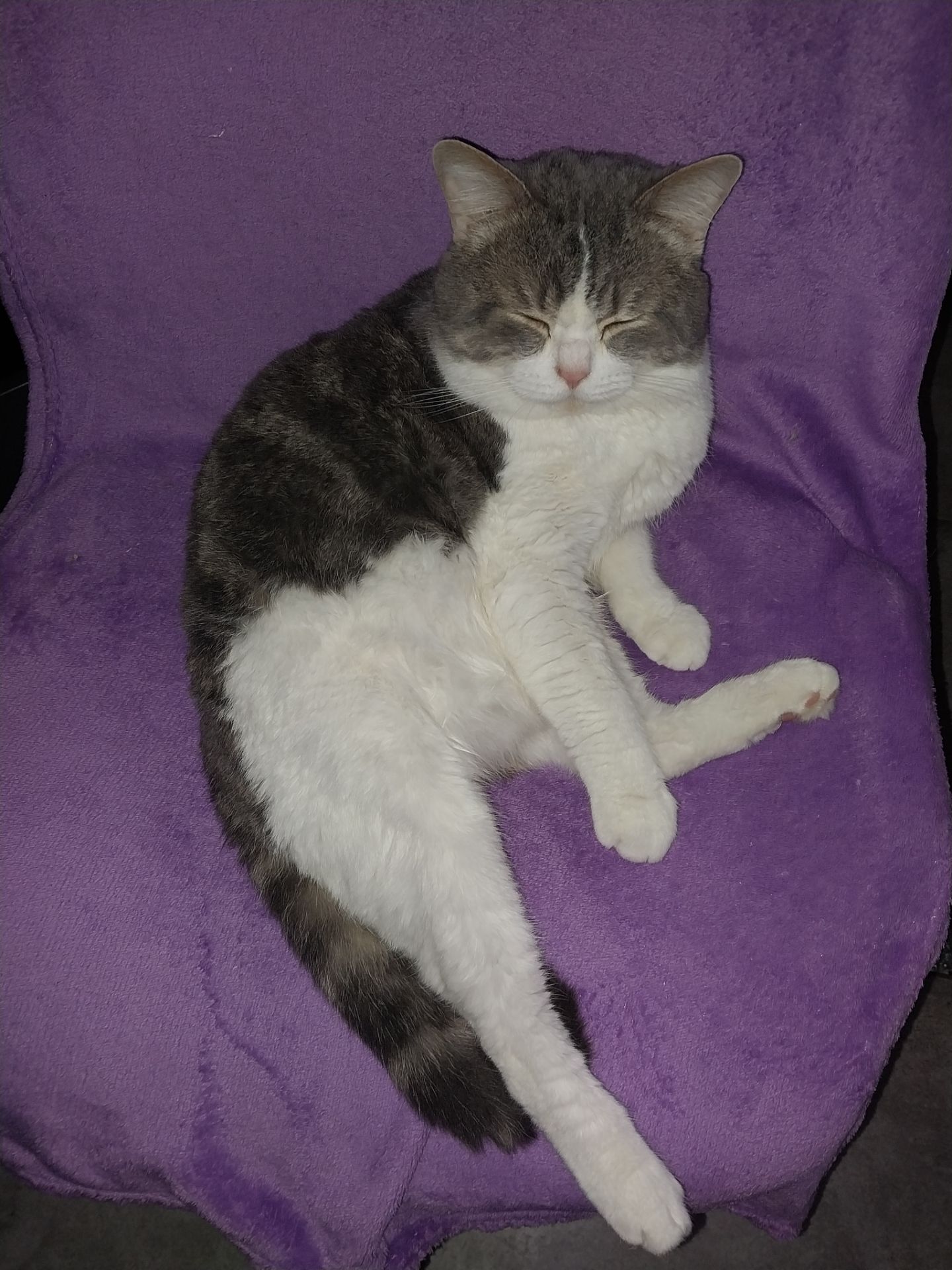 Віддам в хороші та добрі руки)