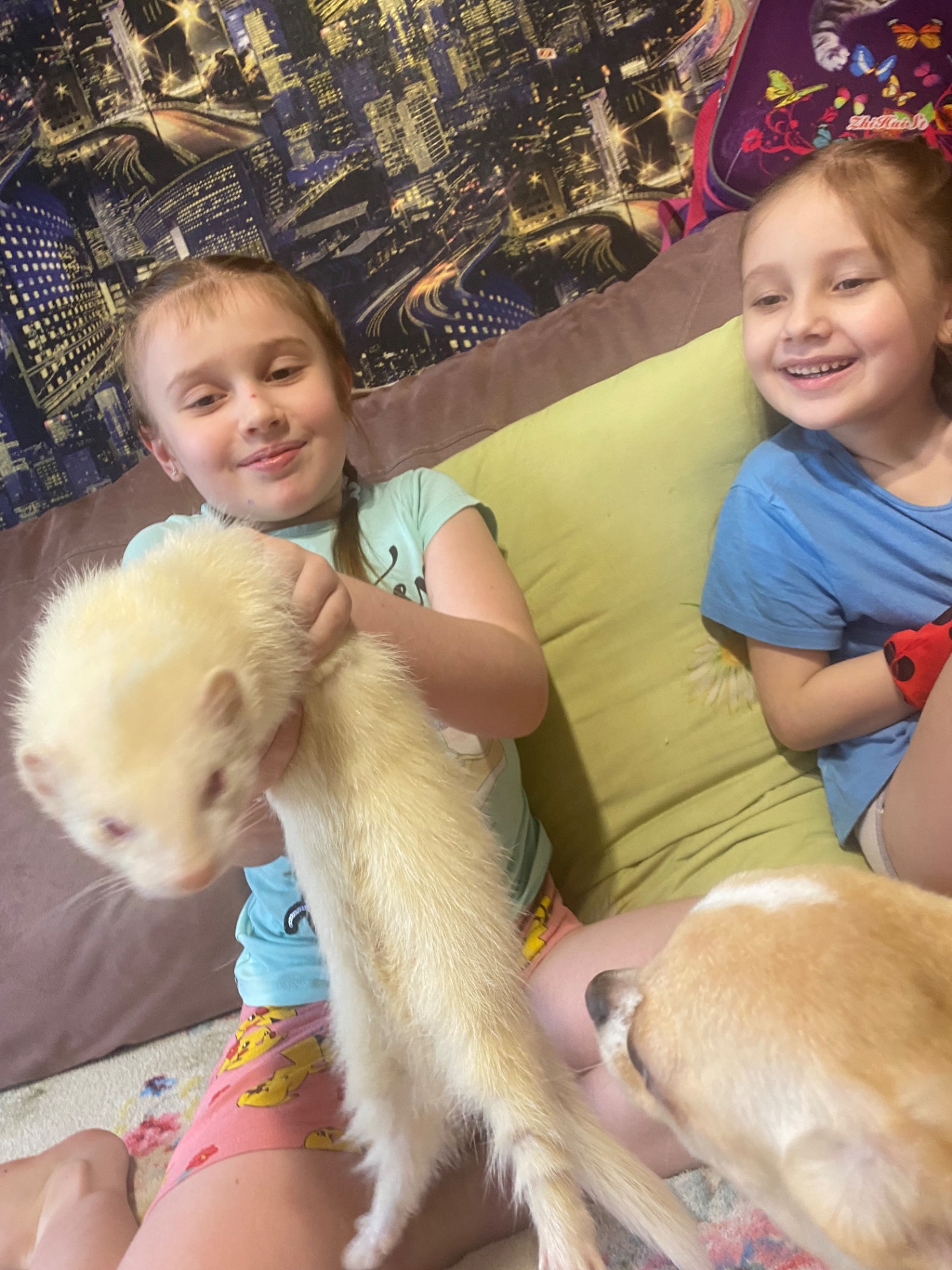 Тхорик альбінос самець 10 міс(білий).Тільки Харків!!!