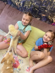 Тхорик альбінос самець 10 міс(білий).Тільки Харків!!!