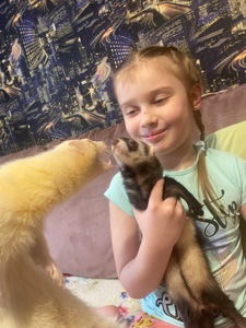 Тхорик альбінос самець 10 міс(білий).Тільки Харків!!!