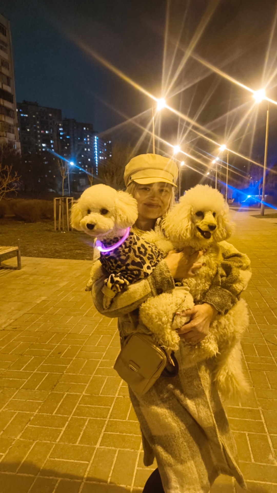 Цуценя той пуделя