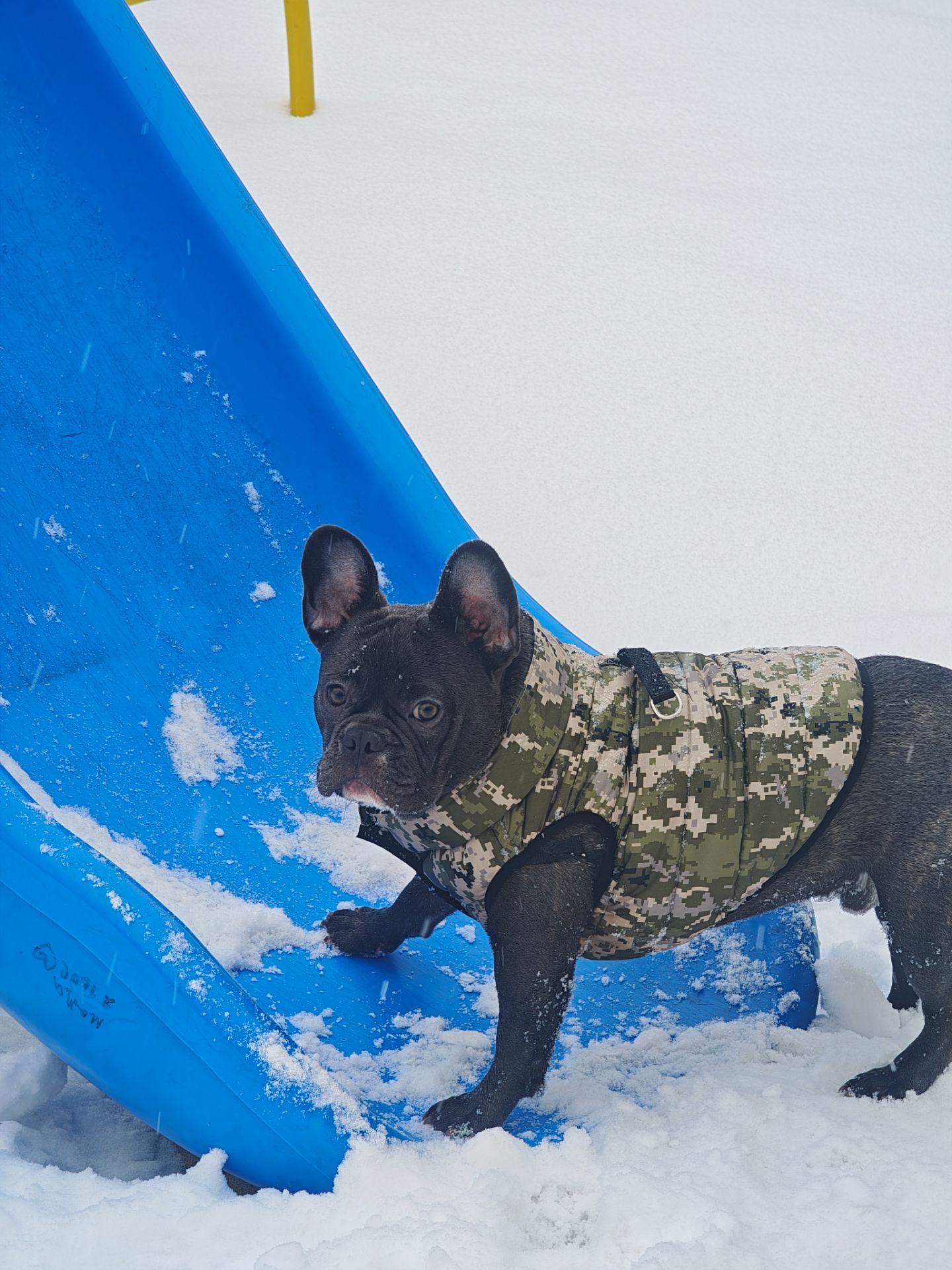 Срочная продажа