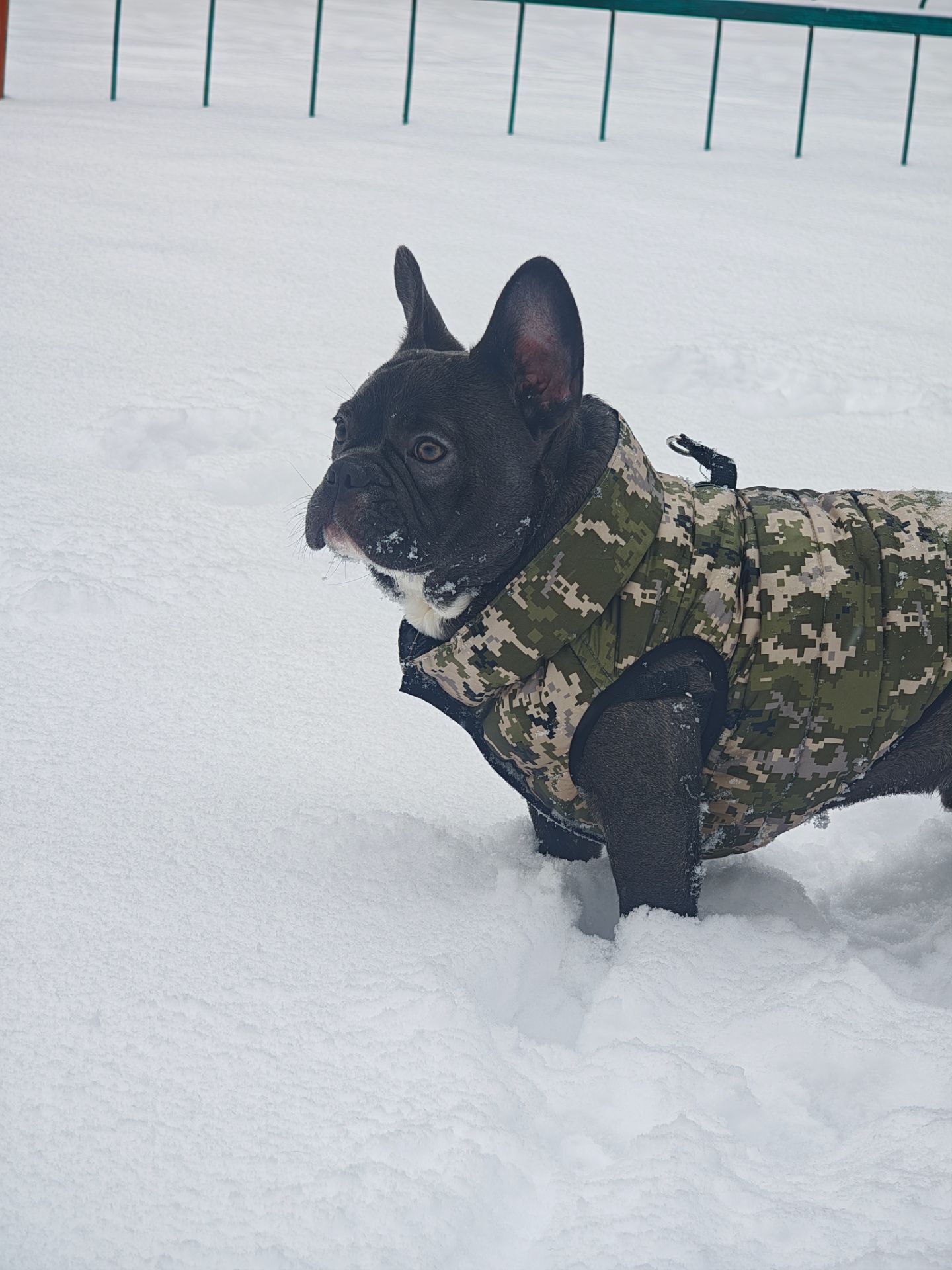 Срочная продажа