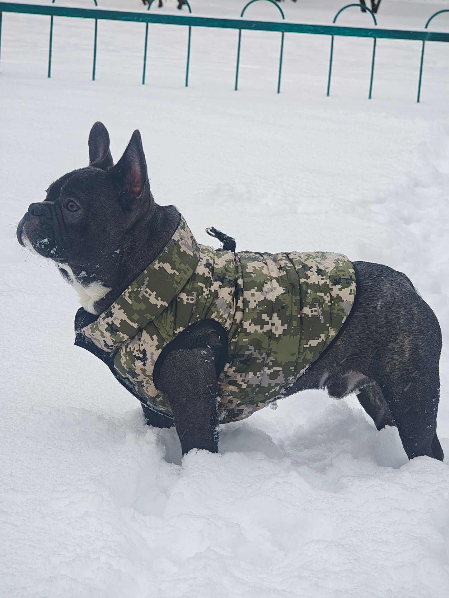 Срочная продажа