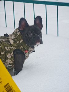 Срочная продажа